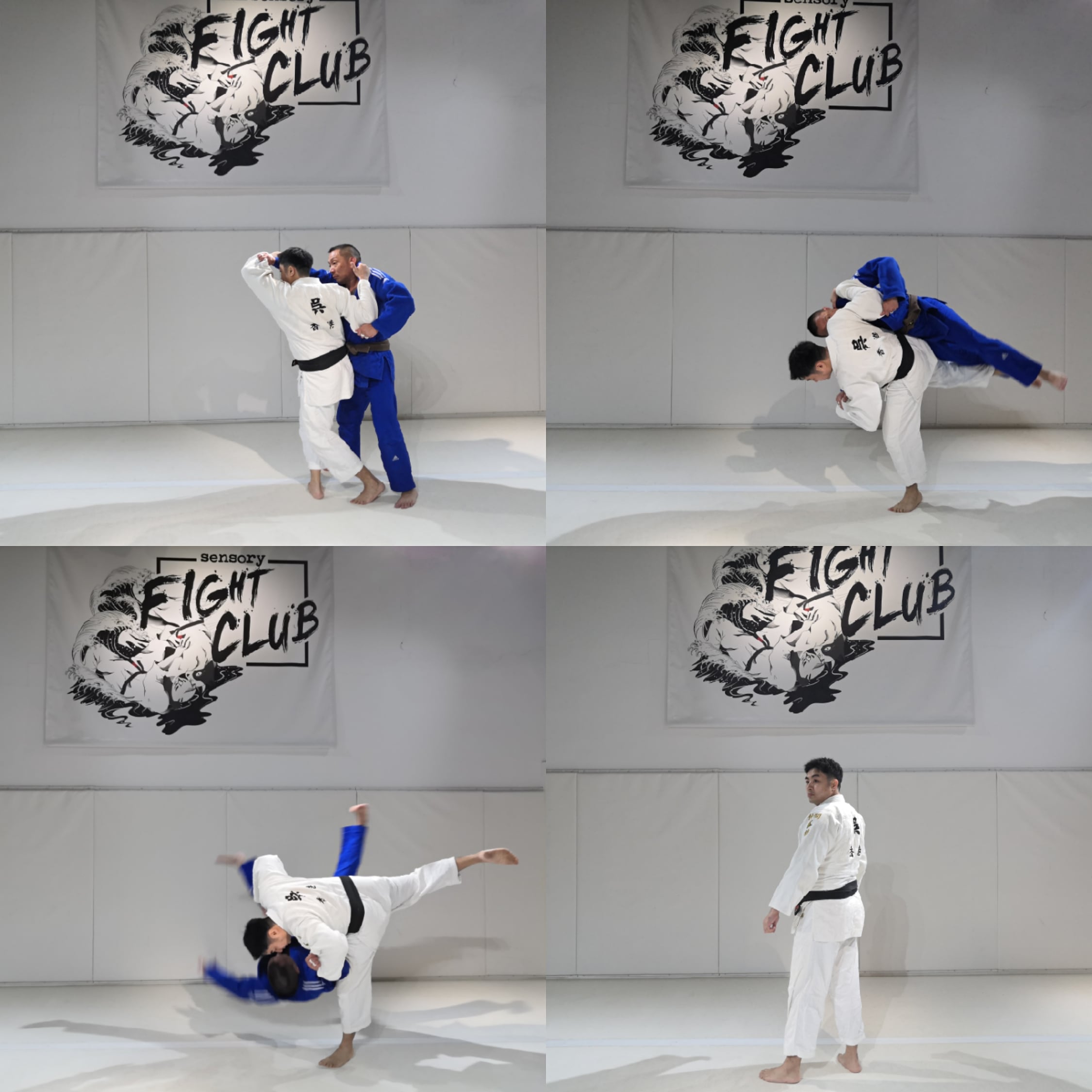 4panel judo pic
